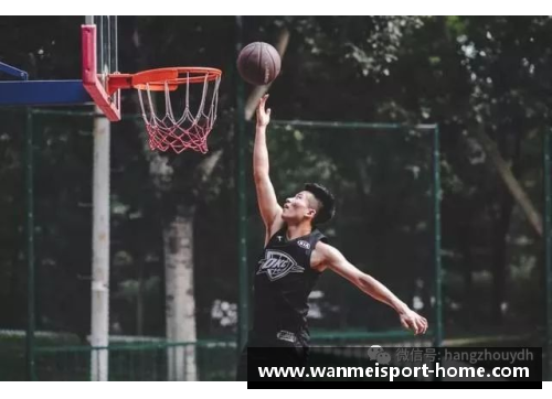 职业野球：挑战极限的球员风采
